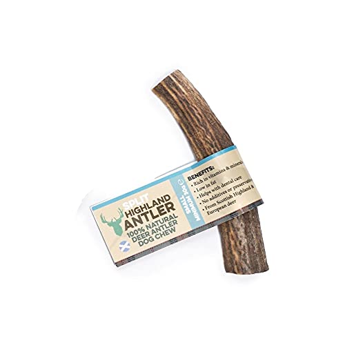 100% Natural SPLIT Antler Dog Chews The Hypo-Allergenic Dog Chew Like Stagbar - Image 4