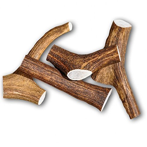 123Direct - Premium Stag Fallow Deer Antler Bars - Image 3