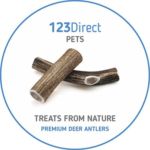 123Direct - Premium Stag Fallow Deer Antler Bars - Image 4