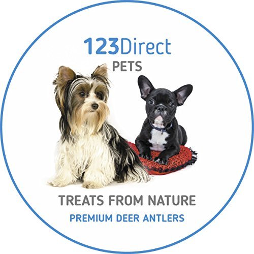 123Direct - Premium Stag Fallow Deer Antler Bars - Image 5