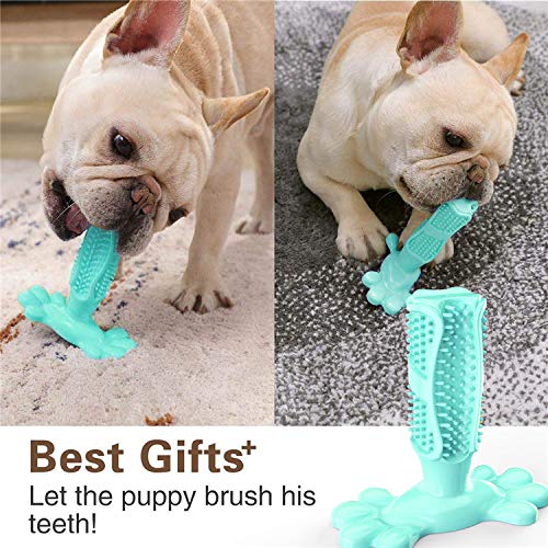 ALP Direct Dog Toys Toothbrush and Dog Treat Dispenser Chew Ball Gift Set For Dog & Puppy Mental Stimulation Tooth Cleaning Product Stick 100% Natural Rubber 2 Items - Image 4