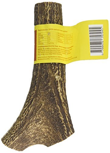 Antler Natural Chew - Image 3