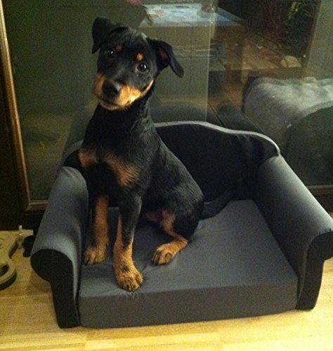 Dog sofa / cat sofa, can be folded out, dog bed - Image 4