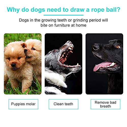 HAOPINSH Dog Chew Toys Ball Almost Indestructible Rubber Interactive Treat Toys Durable Training Toy Tough Puppy Toys Strong Teething Toothbrush Dog Great Gift - Image 4