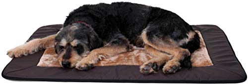 Knuffelwuff Dog Mat Fim Universal for House Garden Car etc. - Image 4