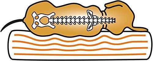 Knuffelwuff Orthopaedic Dog Bed - Image 4