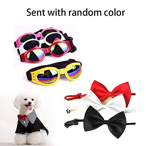 LA VIE Pet Bed Anti-Slip Bottom Cute Paw Shaped Dog Sofa Bed with Soft and Cozy Plush Portable Dog Mattress for Small Medium Dogs Cats Puppies with Bow tie Sunglasses for Animals - Image 3