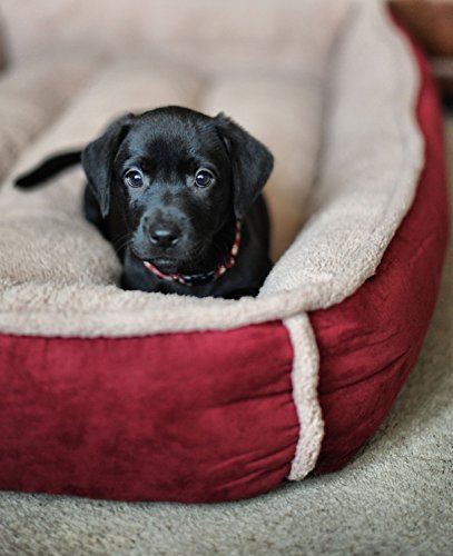 Large Round Luxury Fleece Dog Bed by Wolfybeds - Image 3