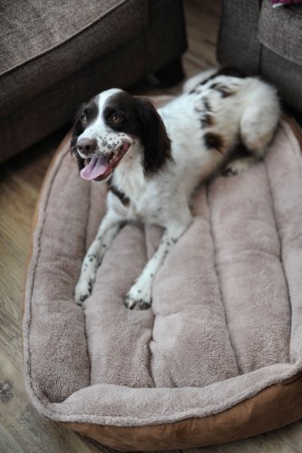 Luxury Fleece Cradle Dog Bed Size Large - Image 3