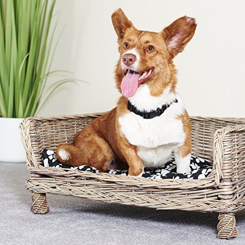 Me and My Pets Raised Woven Bed - Choice of Size - Image 4