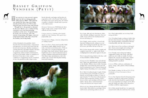 The Kennel Club's Illustrated Breed Standards: The Official Guide to Registered Breeds - Image 4