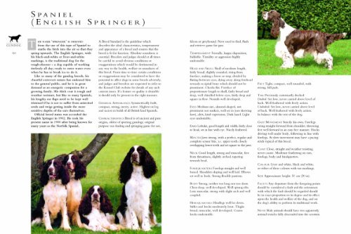 The Kennel Club's Illustrated Breed Standards: The Official Guide to Registered Breeds - Image 6