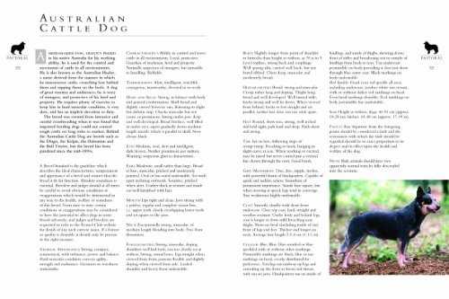 The Kennel Club's Illustrated Breed Standards: The Official Guide to Registered Breeds - Image 7