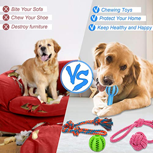 Wimypet Dog Toys Puppy Chew Toy Dog Ball Durable Teething Interactive Training Cleaning with Rubber Treat Ball Chew Bone Natural Cotton Rope Knot Dog Toys For Gift Small and Medium Large Dogs-4PCS - Image 5