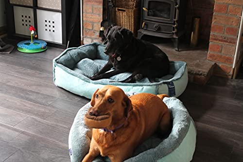 Wolfybeds Large Padded Luxury Fleece Dog Bed Limited Edition in turquioseoceans (36" x 24") washable covers - Image 5