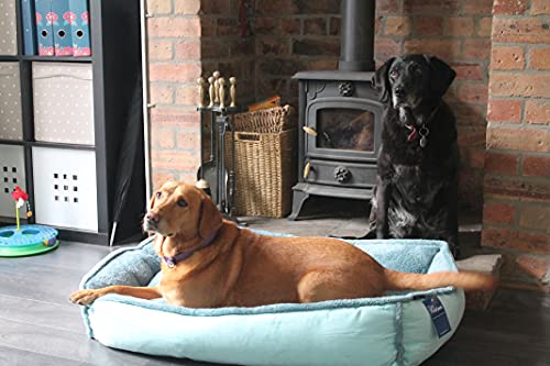 Wolfybeds Large Padded Luxury Fleece Dog Bed Limited Edition in turquioseoceans (36" x 24") washable covers - Image 7