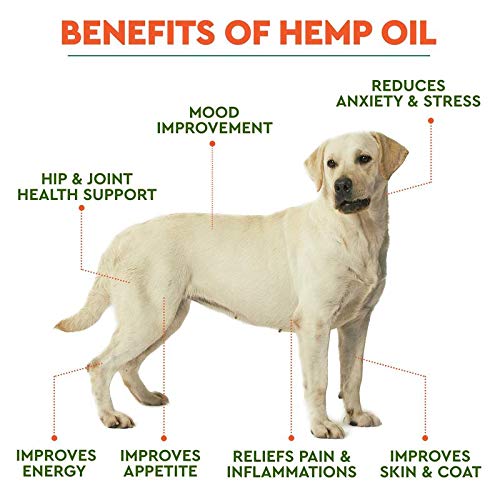 Yasirona TANGDIAABBCC Vicien Wolfybeds Medium Round Luxury Fleece Dog Bed in Slate Grey 79cm x 79cm (31" x 31") washable covers - Image 3