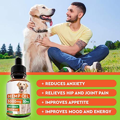 Yasirona TANGDIAABBCC Vicien Wolfybeds Medium Round Luxury Fleece Dog Bed in Slate Grey 79cm x 79cm (31" x 31") washable covers - Image 5