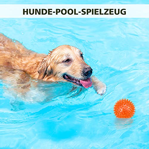 petizer 3-PACK Squeaky Dog Ball Toys ,Dogs Chew Spiky Ball , Floatable Dog Pool toy,Toss Fetch Toys for Puppy Rubber TPR, Dog Chew Toys for Boredom, Teeth Cleaning for Small and Medium Dogs - Image 5
