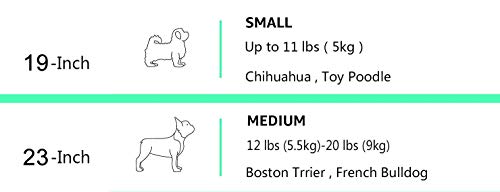 Amazon Basics pet carrier - Image 8