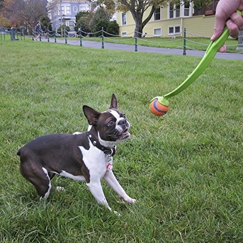 Chuckit! Sport 12 Pocket Ball Launcher Medium 30cm Dog Toy Floating Ball Thrower - Image 3
