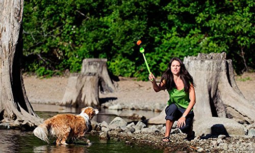 Chuckit! Sport 12 Pocket Ball Launcher Medium 30cm Dog Toy Floating Ball Thrower - Image 4