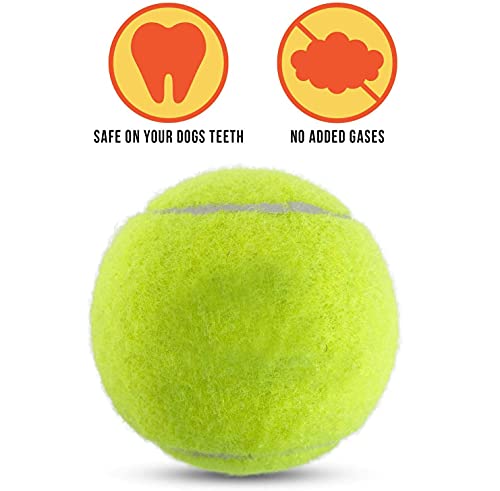 Pack of 6 Tennis Balls, Sport Play Dog Toy Ball, Great For Lessons, Practice, Throwing Machines & Playing with Pets - Image 4