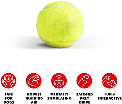 Pack of 6 Tennis Balls, Sport Play Dog Toy Ball, Great For Lessons, Practice, Throwing Machines & Playing with Pets - Image 5