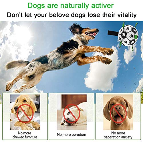 Dog Ball with Grab Tabs, Interactive Dog Football Toys for Tug of War, Dog Tug Toy, Dog Water Toy, Durable Wobble Dog Balls for Small & Medium Dogs - Image 3