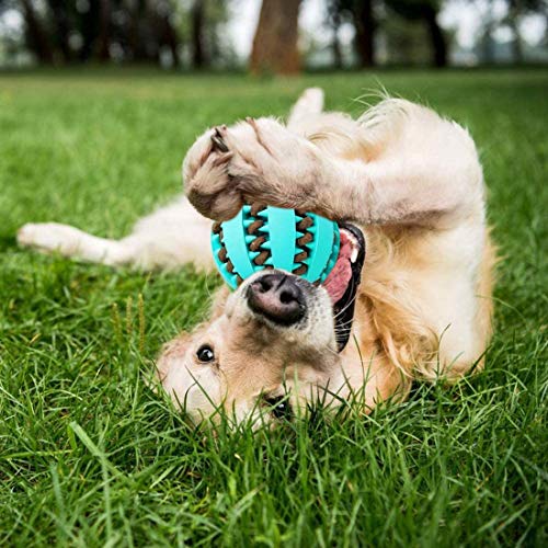 Dog Treat Ball, 2 Pack Dog Ball Toys for Pet Tooth Cleaning, Nontoxic Bite Resistant Toy Ball ViiAN A… for Small Medium Large Dogs Teeth Cleaning Chewing Training IQ Training - Image 7