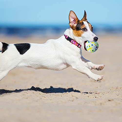 Indestructible Dog Ball, Rubber Dog Ball Interactive Toy, Bite Resistant Teeth Training Toys, Latex Floating Toy Fetch Throw Toy Ball for Small Medium Large Dog - Image 8