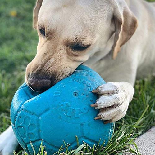 Jolly Pets 8" Soccer Ball - Image 5
