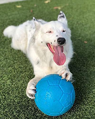 Jolly Pets 8" Soccer Ball - Image 6