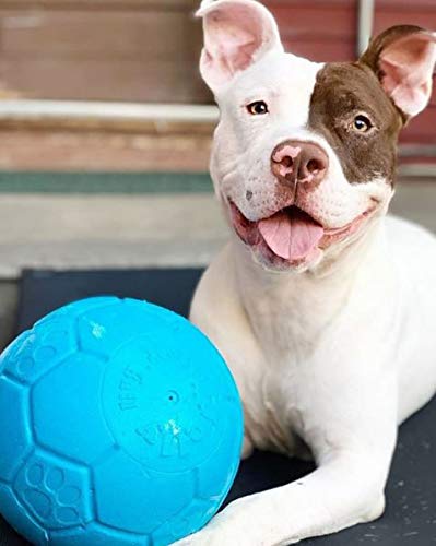 Jolly Pets 8" Soccer Ball - Image 7