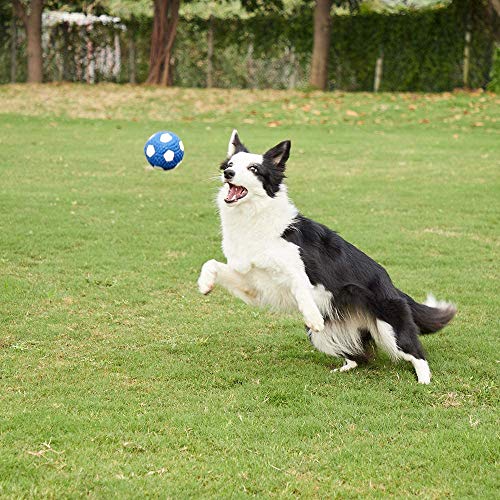 LYINBO Rubber Ball for Dog, Pet Squeaky Toys, Dog Rugby Ball, Squeaky Latex Rubber Dog Toy Balls Bite Resistant Teeth Training Toys for Dogs - Image 8