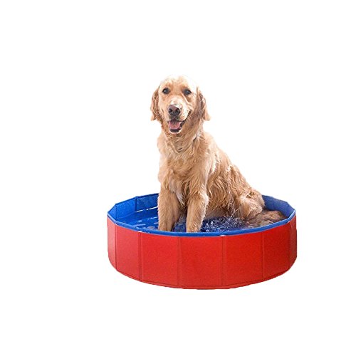 Lalawow Foldable Dog Paddling Pool Pet Puppy Swimming Bathing Tub - Image 8