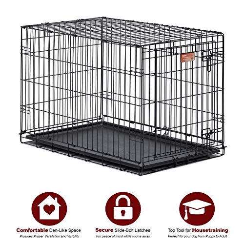 MidWest Homes for Pets Dog Crate | iCrate Single Door & Double Door Folding Metal Dog Crates | Fully Equipped - Image 4