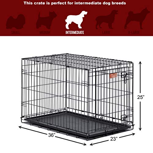 MidWest Homes for Pets Dog Crate | iCrate Single Door & Double Door Folding Metal Dog Crates | Fully Equipped - Image 7