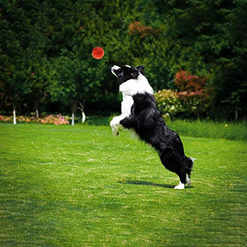 Newthinking Dog Toys Ball Set, 3inch Dog Treat Toys Ball, Dog Squeaky Balls, IQ Treat Ball, Rubber Ball and Dispensing Ball for Small Medium Dog Gift, 4 Pack - Image 8