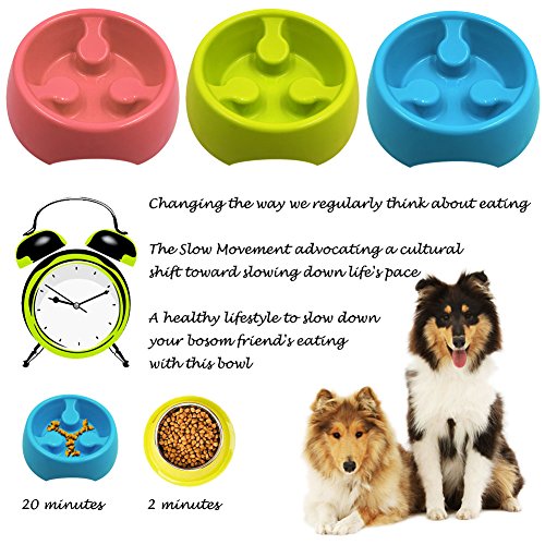 PETBABA Dog Bowl Slow Feeder, Interactive Maze Nonslip Feed Dish, against Bloat in Eating Food, Keep Cat Pet Healthy - Image 8