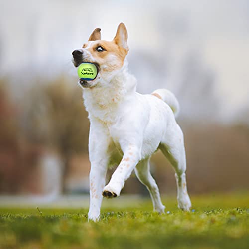 Scenereal Squeaky Tennis Balls for Dogs 12 Packs, Dog Ball Toys 5cm for Dog Training Exercise, Interactive Dog Bouncing Balls for Small Medium Dogs Puppies - Image 8
