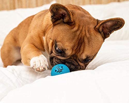 Pet Qwerks Talking Babble Ball Hundespielzeug - Image 4