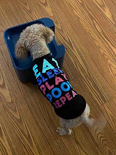 iDogmate Ball Launcher, Midi Rechargeable Automatic Ball Thrower Remote Interactive Fetch Machine with 3 Safe Balls - Image 4