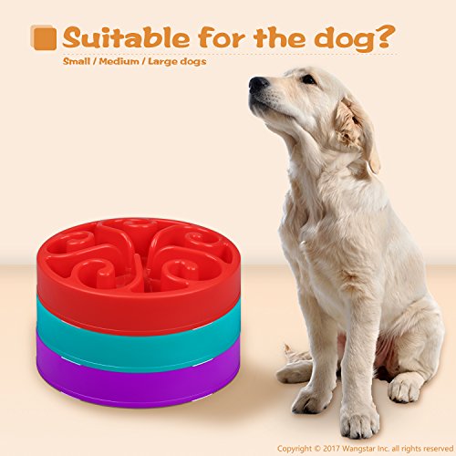 wangstar Pet Dog Slow Feed Dog Bowl, Fun Interactive Feeder Slow Feed And Drink Water Bowl For Dogs - Image 8