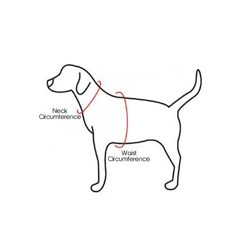 Bunty Soft Comfortable Mesh Breathable Fabric Dog Puppy Pet Adjustable Harness - Image 3