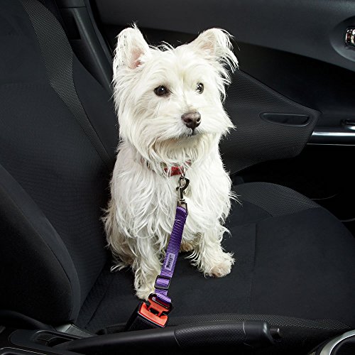 Bunty Dog/Cat Car Seat Belt Lead Restraint Harness Attachment Clip Adjustable Safety Travel Seatbelt for Car Van Pets, 30cm to 60cm Adjustable Length, Blue - Image 3