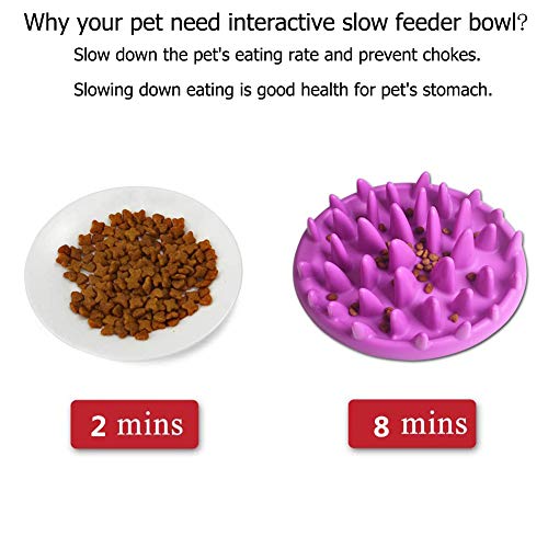 ADOGO Interactive Slow Feeder for Dog Puppy Cat - Image 4