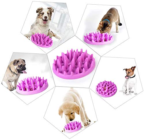 ADOGO Interactive Slow Feeder for Dog Puppy Cat - Image 7