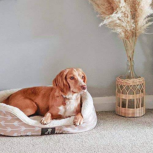 AllPetSolutions Bella Collection of Warm Dog Bed with Reversible Cushion Washable - Image 4