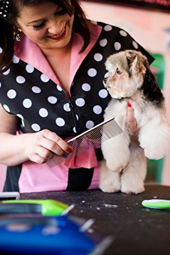 Andis Pet Steel Grooming Comb (65730) - Image 3